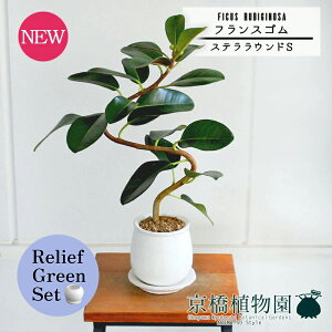 y30P5{Izy}\N[|Lzy[tO[ZbgzyXeEhFSTCY/픫ztXS@Ȃy󂯎Mtzpot×TXxAy픫/󂯎Mtzy2Z