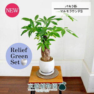 ySSN[|zySSizy[tO[Zbgzy}EhSzpL@p@5G×TXxAy픫/󂯎Mtzy2Zbgz