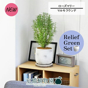 ySSN[|zySSizy[tO[Zbgzy}EhLz[Y}[ 4G×TXxAy픫/󂯎Mtzy2Zbgz