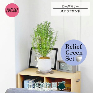 y5P5{IzySSN[|zy[tO[ZbgzyXeEhFMTCY/픫z[Y}[ 4G×TXxAy픫/󂯎Mtzy2Zbgz