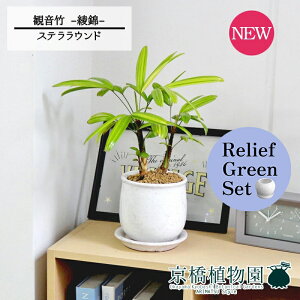 ySSN[|zy[tO[ZbgzyXeEhFMTCY/픫zω|iJm`Nj -- 4G×TXxAy픫/󂯎Mtzy2Zbgz