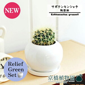 ySSN[|zy[tO[Zbgzy픫/zCgzT{e ́iLV`jy󂯎Mtz3.5G×TXxAy픫/󂯎Mtzy2Zbgz