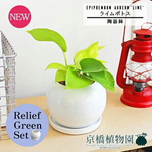 y1P7{Izy[tO[Zbgzy픫/zCgzC|gXy󂯎Mtzpot×TXxAy픫/󂯎Mtzy2Zbgz