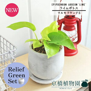 y1P7{zy[tO[Zbgzy}EhSzC|gXy󂯎Mtzpot×TXxAy픫/󂯎Mtzy2Zbgz