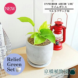 y1P7{zy[tO[Zbgzy}EhMzC|gXy󂯎Mtzpot×TXxAy픫/󂯎Mtzy2Zbgz