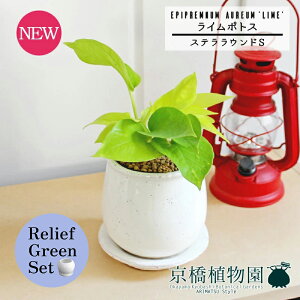 y1P7{zy[tO[ZbgzyXeEhFSTCY/픫zC|gXy󂯎Mtzpot×TXxAy픫/󂯎Mtzy2Zbgz