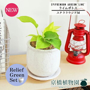 y1P7{zy[tO[ZbgzyXeEhFMTCY/픫zC|gXy󂯎Mtzpot×TXxAy픫/󂯎Mtzy2Zbgz