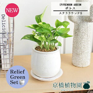 y30P5{Izy[tO[ZbgzyXeEhFSTCY/픫z|gXy󂯎Mtzpot×TXxAy픫/󂯎Mtzy2Zbgz