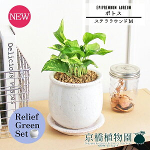 ySSN[|zySSizy[tO[ZbgzyXeEhFMTCY/픫z|gXy󂯎Mtzpot×TXxAy픫/󂯎Mtzy2Zbgz