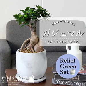 y10P5{IzySSN[|zy[tO[Zbgzy}EhLTCYzKW}y󂯎Mtz×TXxAy픫/󂯎Mtzy2Zbgz