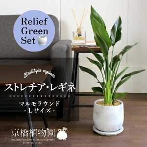 ySSN[|zy[tO[Zbgzy}EhLTCYzXg`AEMl/Xg`AEMiGy󂯎Mtz×TXxAy픫/󂯎Mtzy2Zbgz