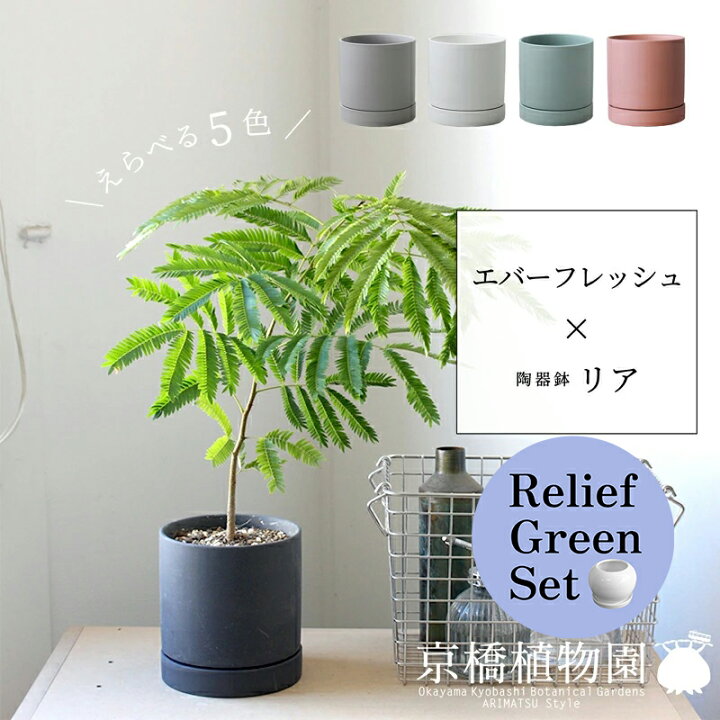 楽天市場】【リリーフグリーンセット】【えらべるカラー 