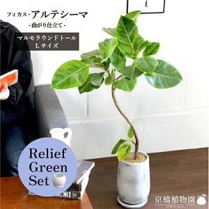 y5P5{IzySSN[|zySSizy[tO[Zbgzy}Ehg[LTCYzAeV[}@Ȃy󂯎Mtz×TXxAy픫/󂯎Mtzy2