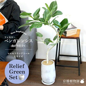 y5P5{IzySSN[|zySSizy[tO[Zbgzy}Ehg[LTCYzxKVXyȂzy󂯎Mtz×TXxAy픫/󂯎Mt