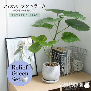 y5P5{IzySSN[|zySSizy[tO[Zbgzy}EhSTCYzEx[^y󂯎Mtz×TXxAy픫/󂯎Mtzy2Zbgz