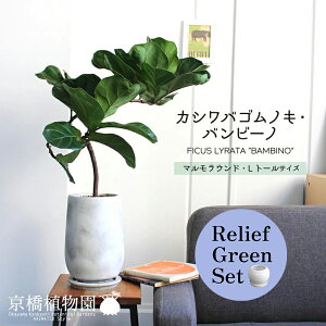 ySSN[|zy[tO[Zbgzy}EhLEg[TCYzJVoSmLEor[my󂯎Mtz×TXxAy픫/󂯎Mtzy2Zbgz