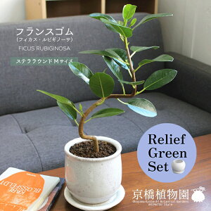 y30P5{Izy}\N[|Lzy[tO[ZbgzyXeEhFMTCY/픫ztXSyȂzy󂯎Mtz×TXxAy픫/󂯎Mtzy2