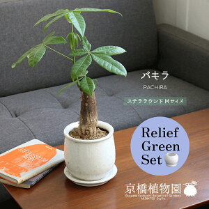 y1P7{Izy[tO[ZbgzyXeEhFMTCY/픫zpLFoIoutH[y󂯎Mtz×TXxAy픫/󂯎Mtzy2Zbgz