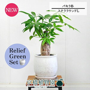 y5P5{IzySSN[|zy[tO[ZbgzyXeEhFLTCY/픫zpL@p@5G×TXxAy픫/󂯎Mtzy2Zbgz