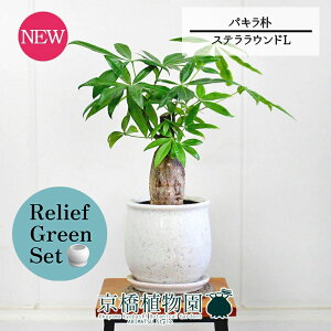 y30P5{Izy}\N[|Lzy[tO[ZbgzyXeEhFLTCY/픫zpL@p@5G×KW}y픫/󂯎Mtzy2Zbgz