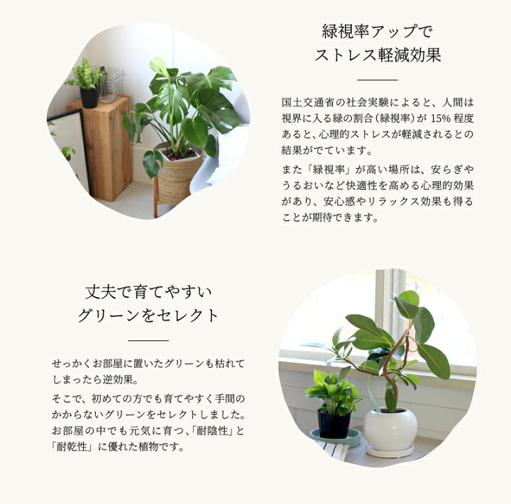 楽天市場】【リリーフグリーンセット】【マルモラウンドLサイズ 
