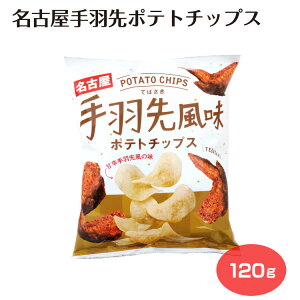 名古屋手羽先ポテトチップス お菓子 スナック ご当地ポテチ ポテチ じゃがいも 手羽先 愛知 愛知土産 名古屋土産 東海土産 お取り寄せ おつまみ 菊水堂 120g
