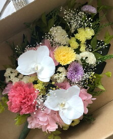 彼岸　コチョウラン　胡蝶蘭　彼岸　喪中　百箇日　お供え　御供　 喪中　 仏前 　四十九日　一周忌　命日　盆　初盆　オールプリザーブド　 仏花