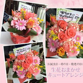 盆　初盆　御供　ペット　還暦　喜寿　古希　生花　発表会　見舞　還暦　 喜寿 お任せキュートアレンジ