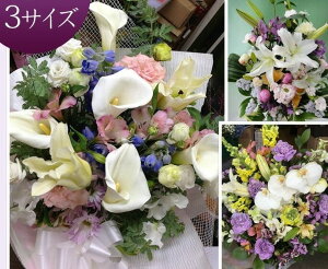 r Sӓ@l\@@ ~ ~   ފ݁@AWLTCY