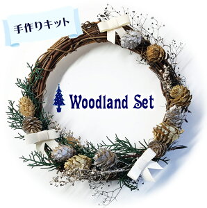 生花 クリスマス リース キットの人気商品 通販 価格比較 価格 Com