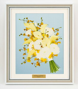 u[PԉH t`zCgt[iMTCYzju[PH u[Pۑ EGfBOu[P uC_u[P u[Pc ԑc