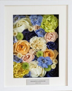 Iu[P3Dt[Ԃ~l߂fUCt[J[ybg A~bgt[Su[PH u[Pۑ At^[u[P EGfBOu[P