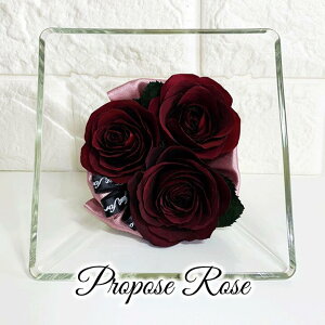 v|[Y [Y MTCY/ԂKN bh[Y Ԃo hCt[ Red Rose XNGA{g v|[YLO ۑ H