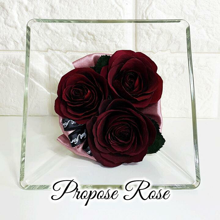 楽天市場 プロポーズ ローズ Mサイズ 赤い薔薇 レッドローズ 赤いバラ ドライフラワー Red Rose スクエアボトル プロポーズ記念 保存 加工 ブーケ保存加工の専門店 花の森