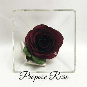 v|[Y [Y STCY/ԂKN bh[Y Ԃo hCt[ Red Rose XNGA{g v|[YLO ۑ H