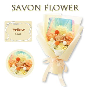 V{t[ \[vt[ Mtg CG[ u[P a v[g j 蕨  Ό A}̍  ̓ w Ǝ SH-024