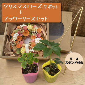 【送料無料・ クリスマスローズ 付き 】フラワー リース Mサイズ+リース スタンド セット （ リース・品種おまかせ ） プレゼント リビング 玄関 リース立て
