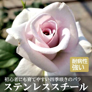 o c XeXX`[ Ă₷ rMi[Y lG炫 12cm|bg 2Nc   K[f KN [Y