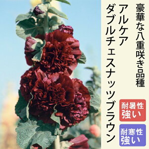 y\Ezh c APA _u`FXibcuE 9cmO|bg ^`AIC ̍ 񂻂 Ny11{菇z