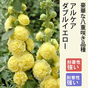 y\Ezh c APA _uCG[ 9cmO|bg ^`AIC ̍ {[_[K[f Ny11{菇z