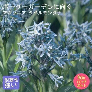 y\Ezh c A\jA ^x^i 9cmO|bg ̍ {[_[ K[f N yjAy11{菇z