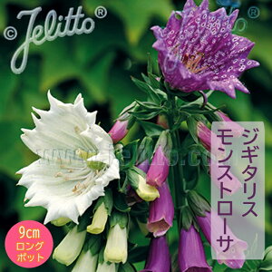 y\Ezh c WM^X Xg[T 9cmO|bg LclmeuN 䂪 N yjAy11{菇z