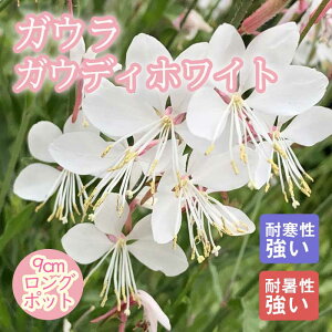 y\Ezh c KE KEfBzCg 9cmO|bg ɋ Ϗ 񂻂 N yjAy11{菇z