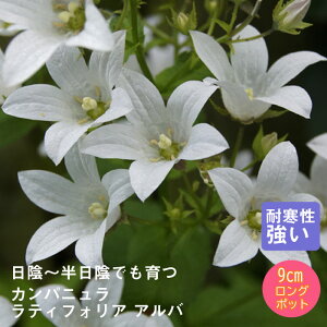 y\Ezh c Jpj eBtHA Ao 9cmO|bg A A VF[h K[f N y10{菇z