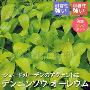 y\Ezh c ej\E I[E 9cmO|bg Wpj[YVu~g Vl 񂻂 Ny11{菇z