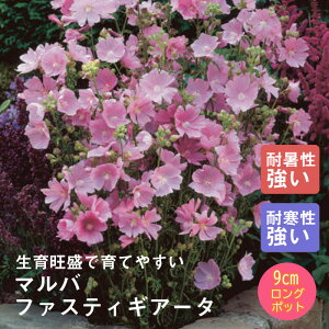 y\Ezh c }o t@XeBMA[^ 9cmO|bg ̍ {[_[ K[f 񂻂 Ny11{菇z