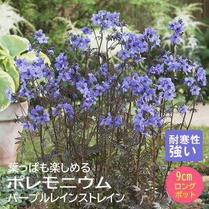 y\Ezh c |jE@p[vCXgC 9cmO|bg A Ay10{菇z