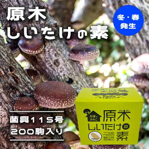 ؂̑f ۋ115200 y~Etz Ƃł̂ Ă R͔| ő VC^P  W{ő