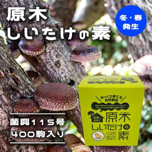 ؂̑f ۋ115400 y~Etz Ƃł̂ Ă R͔| ő VC^P  W{ő