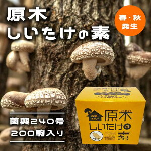 ؂̑f ۋ240200 ytEHz Ƃł̂ Ă R͔| ő VC^P ^